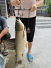 迎科進(jìn)口500米釣魚(yú)線(xiàn)主線(xiàn)超強拉力海竿拋竿路亞尼龍海桿專(zhuān)用子線(xiàn)魚(yú)線(xiàn) 透明色 2號 曬單實(shí)拍圖