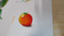 晨光(M&G)文具4K加厚水彩纸230g美术专用绘画纸素描纸  水彩颜料填色水彩画 4开20张礼物儿童考试出游DIY手工 实拍图