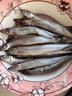 滿籽多春魚 新鮮冷凍大號多春魚加拿大柳葉魚燒烤食材 1500g 曬單實拍圖