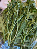 槿饈球生菜1斤裝沙拉漢堡煎餅新鮮現(xiàn)采蔬菜沙拉食材輕食球形圓西生菜 500g 曬單實拍圖