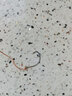 辰義路亞倒釣鉤8003加強魚(yú)鉤蝦鉤泥鰍鱖魚(yú)梭魚(yú)鱸魚(yú)翹嘴海釣軟餌軟蟲(chóng)鉤 【8003倒釣鉤 50枚】2號 曬單實(shí)拍圖
