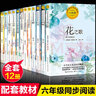 六年級上冊課外書必讀全12冊 小學(xué)語文教材配套同步閱讀書人教版老師推薦花之歌狼牙山五壯士吶喊竹節(jié)人爸爸的計劃故宮博物院 長江文藝出版社 【六年級課外書】12冊 曬單實拍圖