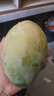 夢(mèng)茜兒凱特芒果 9斤特大青芒正宗四川新鮮青皮熱帶水果當季現摘整箱 3斤 巨無(wú)霸【1斤起/枚】性?xún)r(jià)比高 曬單實(shí)拍圖