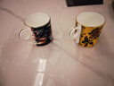 Wedgwood[11.11保價(jià)]馬克對杯心形禮盒高顏值骨瓷咖啡杯水杯情侶家用 漫游美境心形禮盒馬克杯藍+黃 曬單實(shí)拍圖