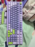 新盟X98PRO机械键盘蓝牙无线2.4G三模/有线单模RGB背光全键热插拔轴Gasket结构游戏办公 薰衣草-有线单模-RGB热插拔【TTC钢铁超人轴】 实拍图