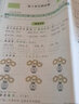 小學(xué)一年級上冊試卷人教版語文數(shù)學(xué)全2冊 黃岡100分沖刺卷1年級上學(xué)期教材課堂同步練習(xí)冊隨堂練習(xí)題單元月考期中期末卷子 曬單實(shí)拍圖