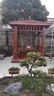 戶(hù)外防腐木四角六角涼亭花園別墅庭院木屋實(shí)木亭子古建景觀(guān)中式亭 四角木瓦涼亭 其他尺寸定制 曬單實(shí)拍圖