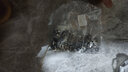 固萬基（GUWANJI）拉鉚螺母 304不銹鋼拉鉚螺母拉母平頭滾花拉鉚螺帽拉帽拉鉚帽拉母 M6[20個]小沉頭 曬單實拍圖