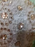 AiChoice寬邊蕾絲發(fā)箍時(shí)尚氣質(zhì)頭箍水鉆頭飾花邊細(xì)水晶遮白發(fā)發(fā)卡黑色發(fā)飾 香檳色帶齒新品 曬單實(shí)拍圖