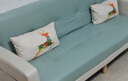 L&S LIFE AND SEASON 沙发床 两用折叠沙发床科技布艺沙发小户型S96 浅绿+米白 1.7米 实拍图