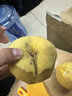 青尊園蒙陰黃桃黃金桃山東蜜桃水果禮盒新鮮桃子脆甜黃肉大黃桃整箱 3斤 曬單實(shí)拍圖