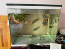 森森（SUNSUN）魚(yú)缸一體缸自循環(huán)客廳桌面家用水族箱免換水生態(tài)懶人迷你金魚(yú)缸 XHR-500  帶18件 配變色燈 曬單實(shí)拍圖