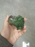 宋匯茶寵擺件創(chuàng)意變色白菜百財(cái)茶桌茶盤(pán)茶具茶藝精品可養(yǎng)茶玩小飾品 變色白菜茶寵(百財(cái)) 曬單實(shí)拍圖