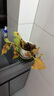 花友花卉紅掌盆栽辦公室客廳室內(nèi)開(kāi)花好養(yǎng)植物水培大花朵大盆帶花苞 紅掌 曬單實(shí)拍圖