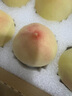 悠銘果正宗無(wú)錫陽(yáng)市山水蜜桃6兩8個(gè)禮盒裝超大甜桃子新鮮水果湖景白鳳軟 現貨3.5-4兩6個(gè)裝【精選特級果】 曬單實(shí)拍圖