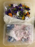 威廉農場(chǎng)三色堇  鳶尾花 裝飾花餐盤(pán)裝飾 新鮮 Pansies (small)  60片/盒 60朵 曬單實(shí)拍圖