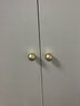 洛克菲勒北歐鐵皮衣柜家用臥室儲物柜小戶(hù)型陽(yáng)臺置物柜出租房簡(jiǎn)易鋼制衣柜 對開(kāi)大器長(cháng)虹衣柜*180x80x50 曬單實(shí)拍圖