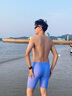 速安視SWANS泳褲男士專業(yè)防曬五分速干短褲游泳褲男潛水游泳裝備紫色L 曬單實(shí)拍圖