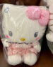 Hello kitty 正版凯蒂猫公仔猫咪玩偶毛绒玩具安抚布娃娃靠垫枕头 送女友老婆男女孩伴手礼生日礼物女生礼品陪睡觉抱枕 30cm学生妹 实拍图