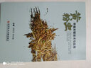 黃粉蟲養(yǎng)殖關鍵技術與應用 曬單實拍圖