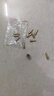 泰鵬小電磨電鉆配件微型黃銅芯小夾頭三爪鉆頭夾心迷你打磨機螺帽鎖帽 螺帽M7+夾頭4.3全套 曬單實拍圖