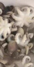 墨妍御鮮 八爪魚(yú) 鮮活冷凍去牙去內臟小八爪魚(yú)長(cháng)腿國產(chǎn)章魚(yú)海鮮水產(chǎn) 三去八爪魚(yú)3斤裝 超大規格10頭/斤 曬單實(shí)拍圖