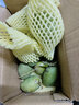 粵品海南小臺農(nóng)芒果2025新鮮 農(nóng)家種植甜芒果廣西臺芒 小臺農(nóng)3斤裝（大小隨機） 小臺農(nóng) 曬單實拍圖