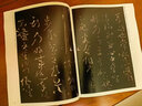 現(xiàn)貨速發(fā) 懷素 共8帖 歷代名家書法王冬梅繁體旁注自敘帖苦筍帖論書帖食魚帖小草千字文藏真帖律公帖圣母帖 曬單實拍圖