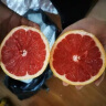 十记庄园 南非西柚6个 进口红心红肉葡萄柚红宝石柚子新鲜水果 实拍图