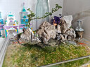 仿真釣魚(yú)翁小擺件園藝花卉微景觀(guān)姜太公假山盆景漁翁魚(yú)缸裝飾造景 釣魚(yú)老者（大） 曬單實(shí)拍圖