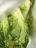 桃李村【順豐】羅莎綠生菜 綠蘿莎花葉生菜 新鮮蔬菜沙拉食材 500g 曬單實拍圖
