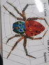 英文原版 Eric Carle The Very Busy Spider 好忙的小蜘蛛 吳敏蘭書單第77本 常青藤爸爸推薦 廖彩杏書單 綠山墻 曬單實(shí)拍圖