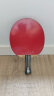 拍里奥Palio套胶皮 蓝海绵CJ8000轻快型专业版乒乓球拍胶皮反胶 红色39-41度 实拍图