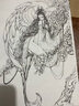 花見(jiàn)2 山海經(jīng)黑白唯美線(xiàn)稿插畫(huà)教程（數藝設出品） 曬單實(shí)拍圖