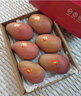 舅甜果蔬海南三亞紅玉芒【順豐鎖鮮-現摘】新鮮時(shí)令水果紅芒蘋(píng)果芒芒果 嚴選老樹(shù)果 5斤（凈重4.5斤） 曬單實(shí)拍圖
