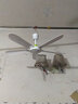 中聯(lián)（ZOLEE）電風(fēng)扇迷你微風(fēng)扇小風(fēng)扇小電扇小吊扇家用辦公室工業(yè)學(xué)生宿舍床頭蚊帳 5葉直徑70cm+2米國標線(xiàn) 曬單實(shí)拍圖