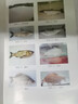 池塘養(yǎng)魚 養(yǎng)魚技術(shù)大全 魚病防治與池塘管理教程 健康水產(chǎn)養(yǎng)殖教材 淡水魚養(yǎng)魚書籍 曬單實(shí)拍圖