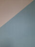 臻蒂 内墙漆彩色乳胶漆墙面室内漆自刷油漆粉刷翻新内墙涂料墙面白色 法蓝 1kg 实拍图