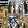 蒙太一路亞餌全套 假餌米諾套裝vib雷蛙軟餌亮片鉛筆翹嘴馬口黑魚(yú)釣魚(yú)餌 139件【品種多/一套全搞定】 曬單實(shí)拍圖