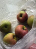 萊財多小國光蘋(píng)果笨果新鮮水果正宗國光蘋(píng)果瓦房店不打蠟不套袋 5斤 65mm(含)-70mm(不含) 曬單實(shí)拍圖