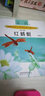 國際安徒生獎提名獎作家書系：紅蜻蜓（彩色 注音） 曬單實拍圖