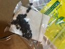 花中酷大牽?；ǚN子 草花種子 爬藤牽?；?5粒 曬單實(shí)拍圖