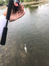 DAIWA達億瓦 2019新款 BASS X Y 路亞竿 路亞釣魚(yú)竿碳素 路亞遠投釣竿 釣竿 漁竿 662LS.Y（1.98米軟調直柄） 曬單實(shí)拍圖