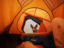 牧高笛（MOBIGARDEN）冷山PLUS雪裙版戶(hù)外專(zhuān)業(yè)高原四季帳篷鋁桿防風(fēng)防雪暴雨登山帳篷 冷山3plus 晨霧白（三人） 曬單實(shí)拍圖