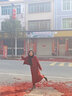 羅蒙紅色小香風連衣裙套裝女2023秋冬新款氣質(zhì)毛呢半身裙子外套兩件裝 紅色 2XL 推薦 120-130斤 曬單實拍圖