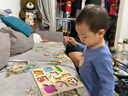 丹妮奇特蒙氏早教手抓板拼圖積木嬰兒童4生日禮物7玩具男女孩1—2歲3寶寶6 小雞平衡木 曬單實(shí)拍圖