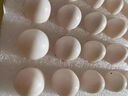 鄉公館鴿子蛋新鮮土鴿子蛋農家特產(chǎn)雜糧喂養白鴿蛋信鴿蛋孕婦寶寶禮盒裝 30枚鴿子蛋【 新鮮現撿· 農家散養】 曬單實(shí)拍圖