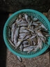 本諾（BENNUO） 釣箱配件三件套鋁鎂合金炮臺(tái)架魚護(hù)架拉餌盤架傘架通用四件套 海洋藍(lán)【三件套-右手搭配】 卡片式快拆 曬單實(shí)拍圖