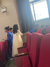 奧蒙威兒童禮服公主裙中大童長(zhǎng)款蓬蓬網(wǎng)紗裙女童鋼琴表演晚會(huì)連衣裙DY-2 香檳色 150 曬單實(shí)拍圖