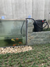 森森魚(yú)池過(guò)濾器大型魚(yú)缸過(guò)濾桶錦鯉魚(yú)池凈化器水池循環(huán)設備過(guò)濾系統cp CPA5000全套+防堵泵JTP6000+5米管 曬單實(shí)拍圖